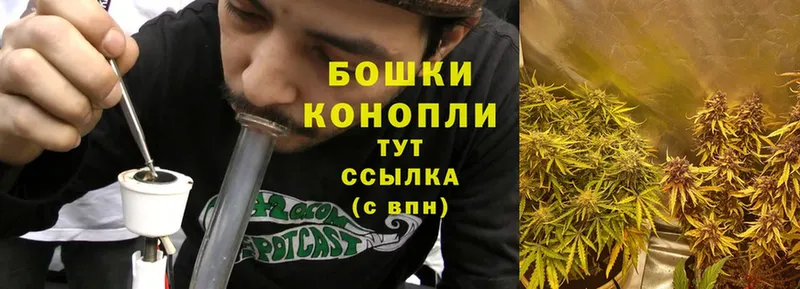 Конопля OG Kush  Тейково 